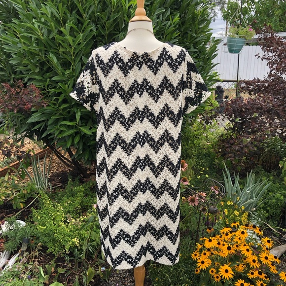 Talbots chevron lace shift dress - Picture 5 of 6